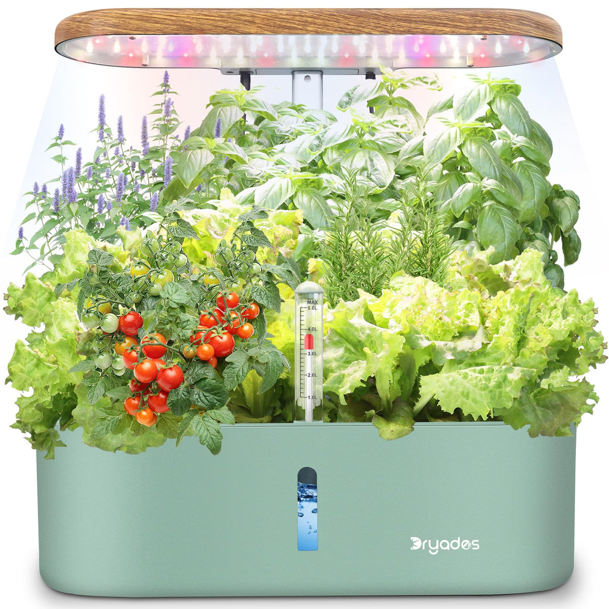 DRYADES 12-pod hydroponic system overview for a compact indoor herb garden.