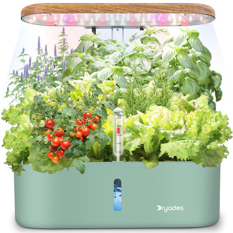 DRYADES 12-pod hydroponic system overview for a compact indoor herb garden.