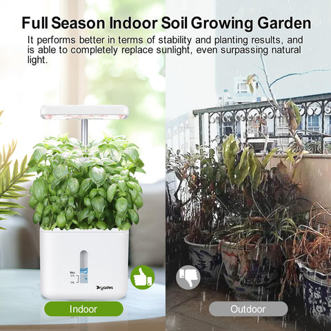 DRYADES compact smart planter on a desk in a small apartment.
