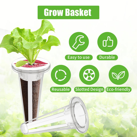 DRYADES groove bottom design promotes water flow and healthy roots.