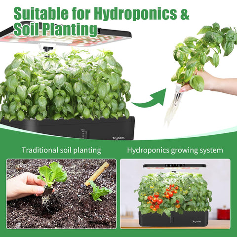 DRYADES Grow-Anything Kit enables growing strawberries, herbs, and lettuce indoors.