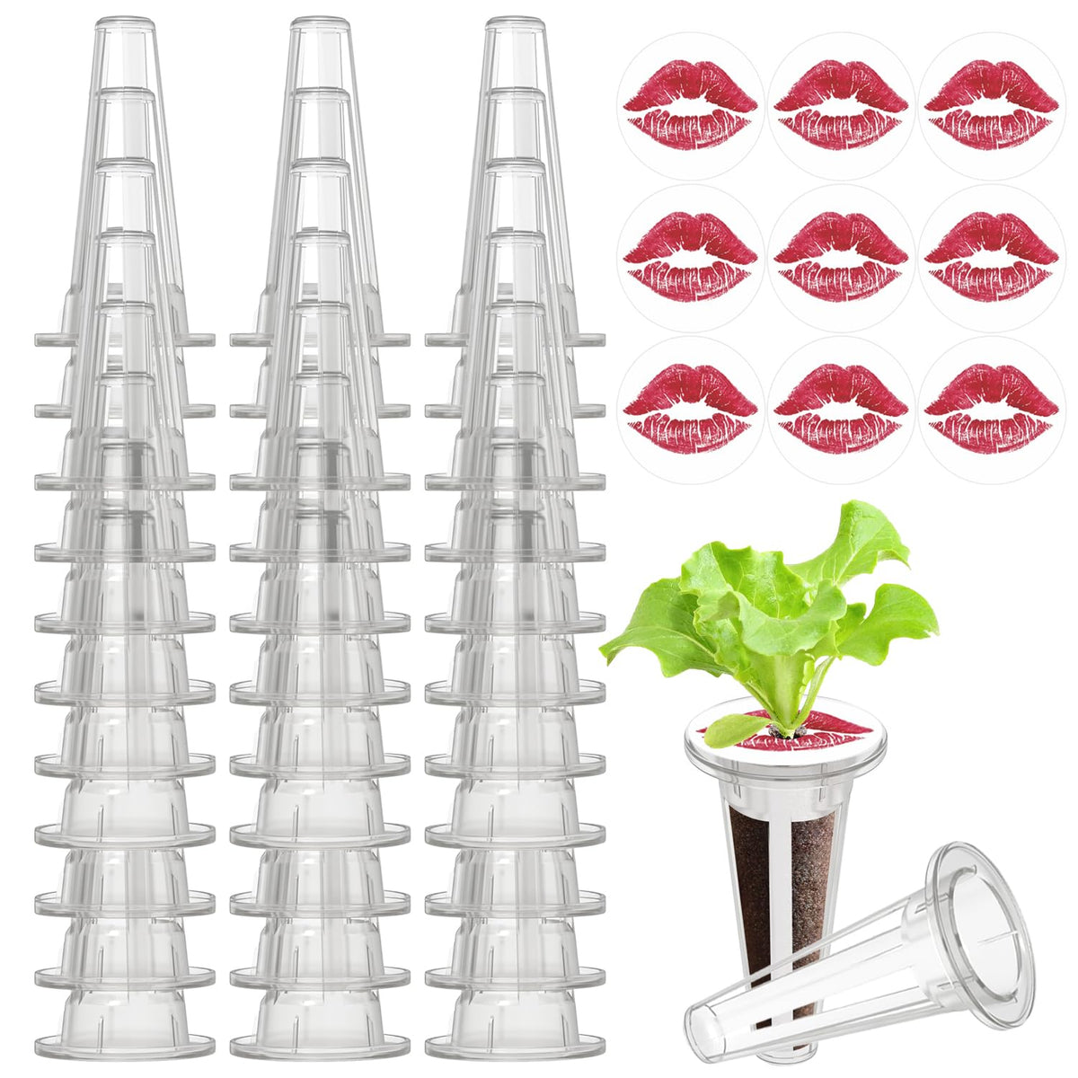 DRYADES grow baskets ready for easy indoor hydroponics setup.