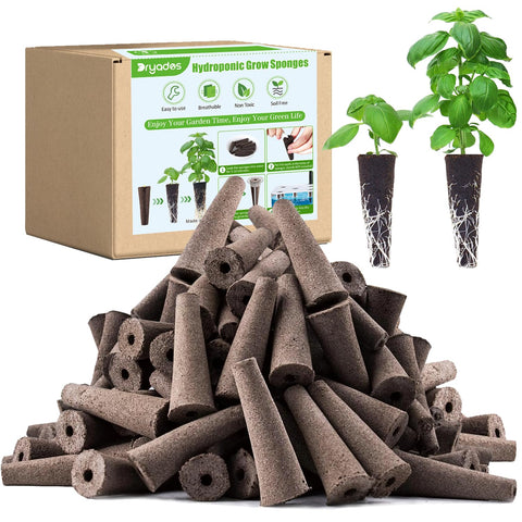 DRYADES grow sponges 50-pack ready for efficient hydroponic germination