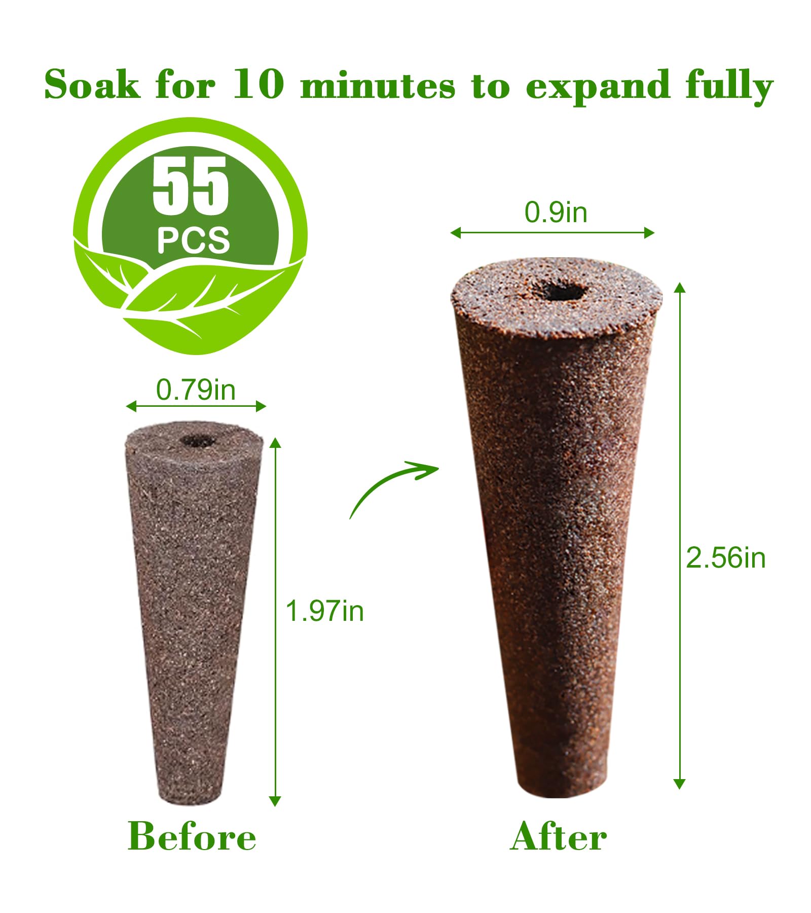 DRYADES grow sponges demonstrate high water-wicking for robust root growth.