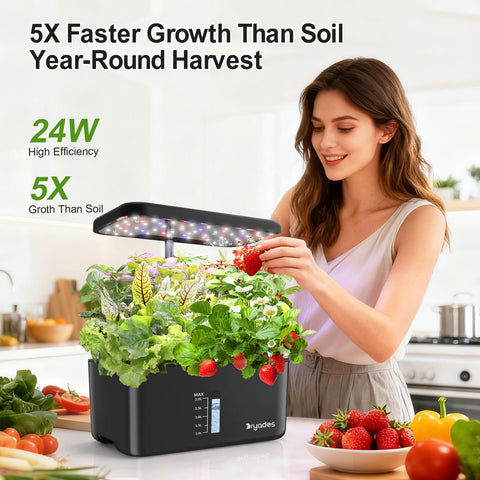 DRYADES Dryades system setup in kitchen promotes year-round harvest of basil and greens.