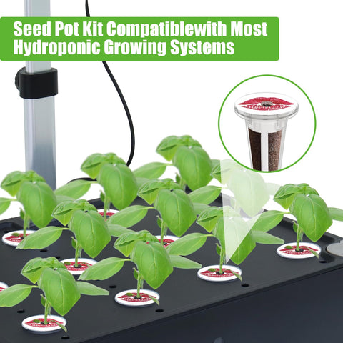 DRYADES indoor garden featuring herbs in compact hydroponics setup.