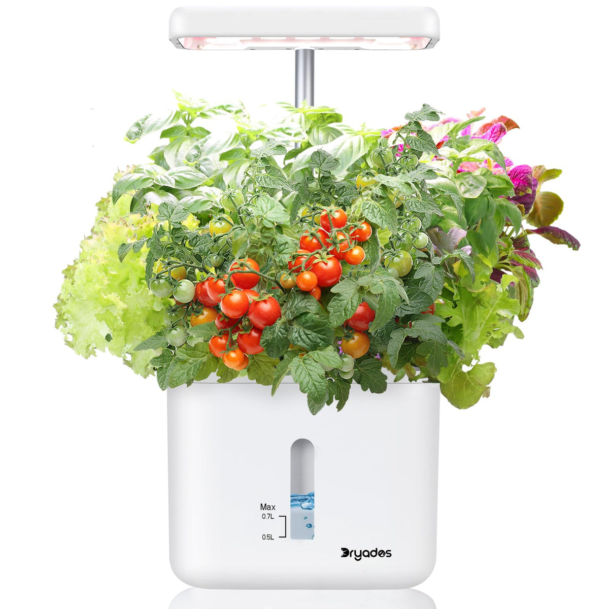 DRYADES indoor garden planter with LED light front view supports year-round herb cultivation.