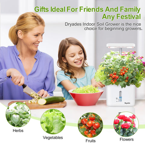 DRYADES mini indoor garden encourages family learning and plant care.