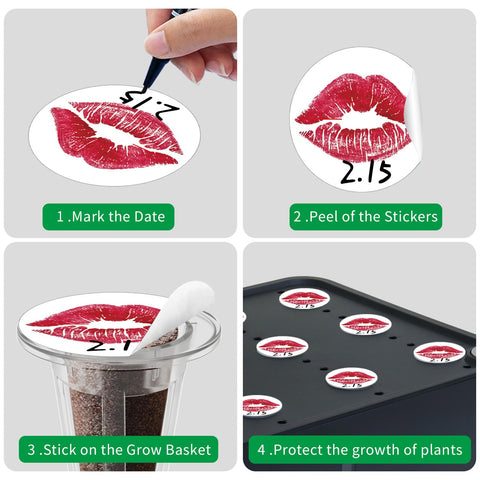 DRYADES plant labels for pots let you note variety and care at a glance