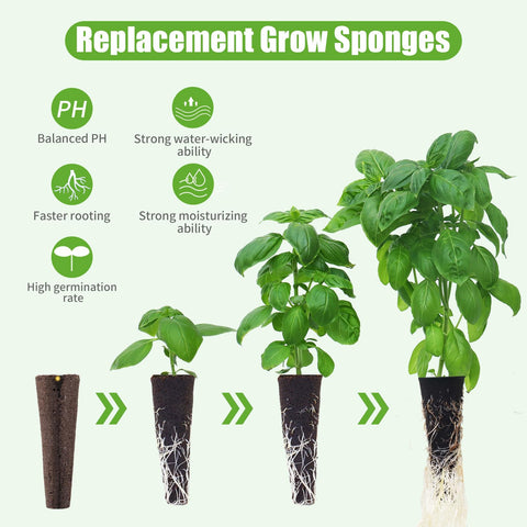 DRYADES seed pods assembled for easy transplanting