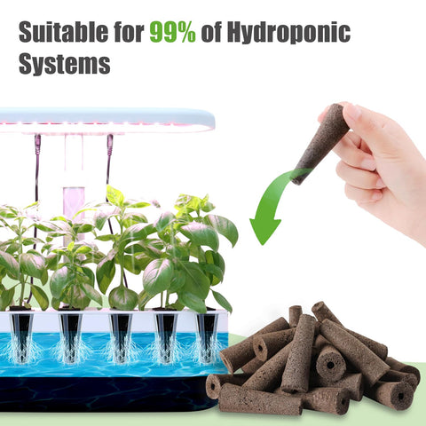 DRYADES seedling-ready sponges ready for transplant