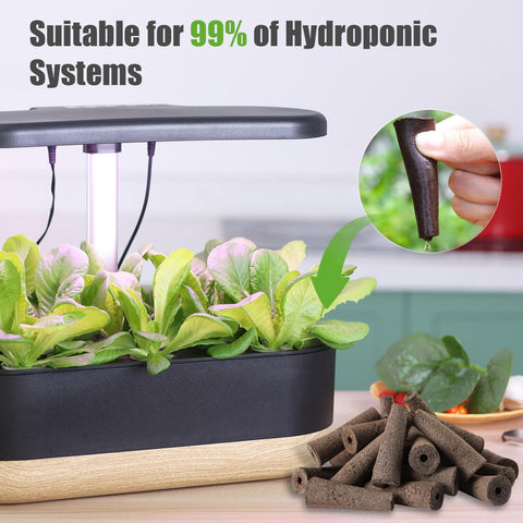 DRYADES soaking-ready sponges for better moisture balance during germination