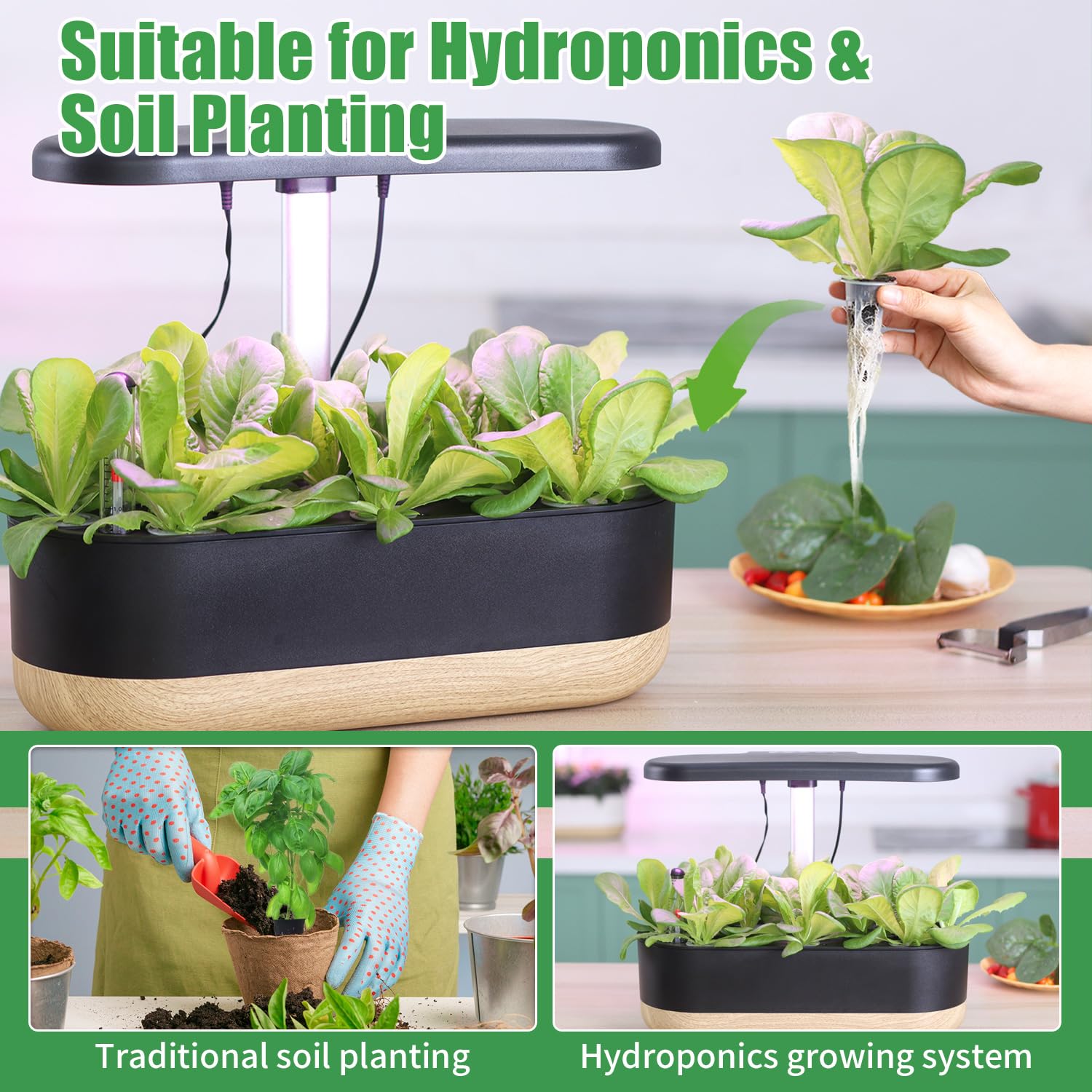 DRYADES transplant-ready seedlings to minimize root damage during move