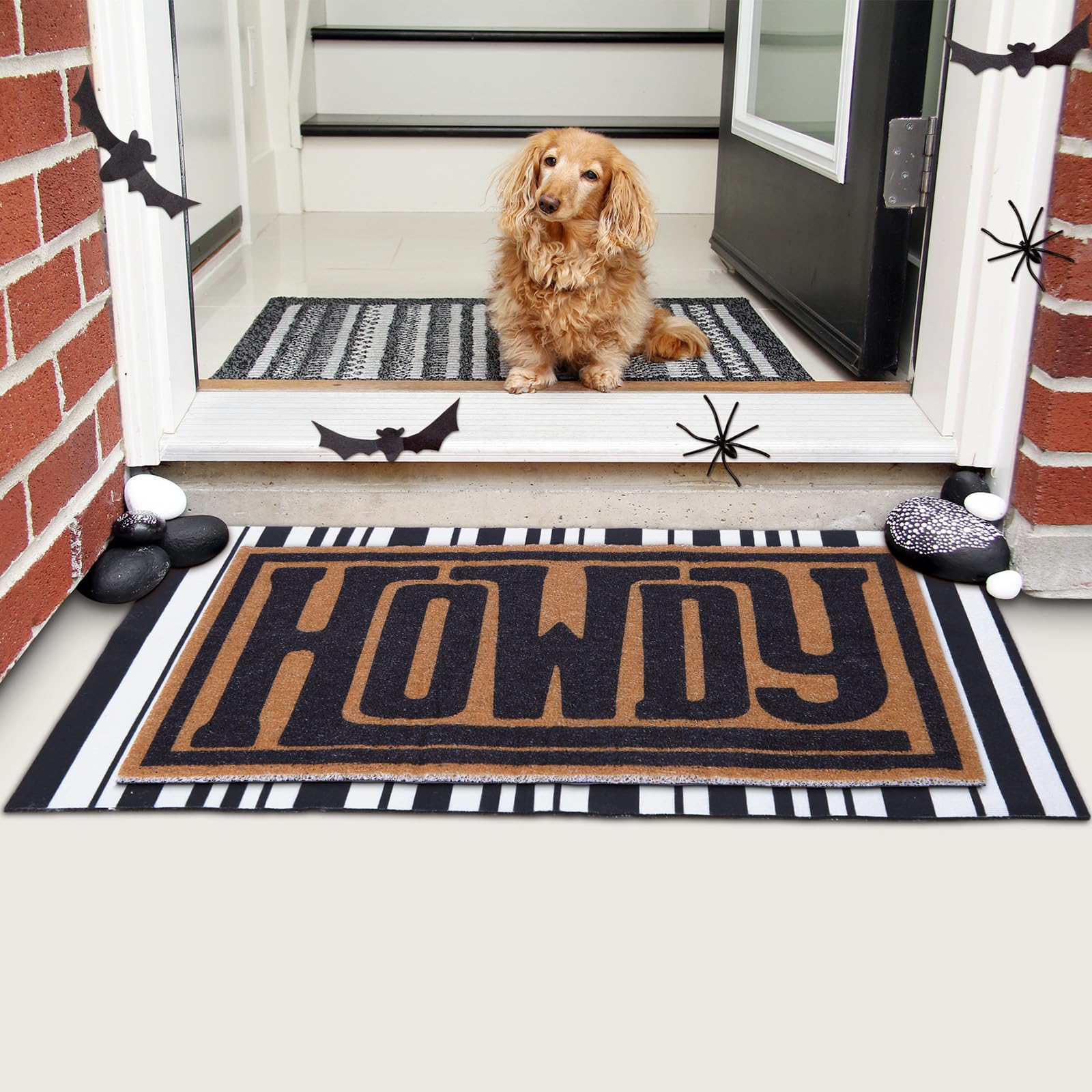 Drydiet porch-entryway mat guards indoors with a non-slip base.