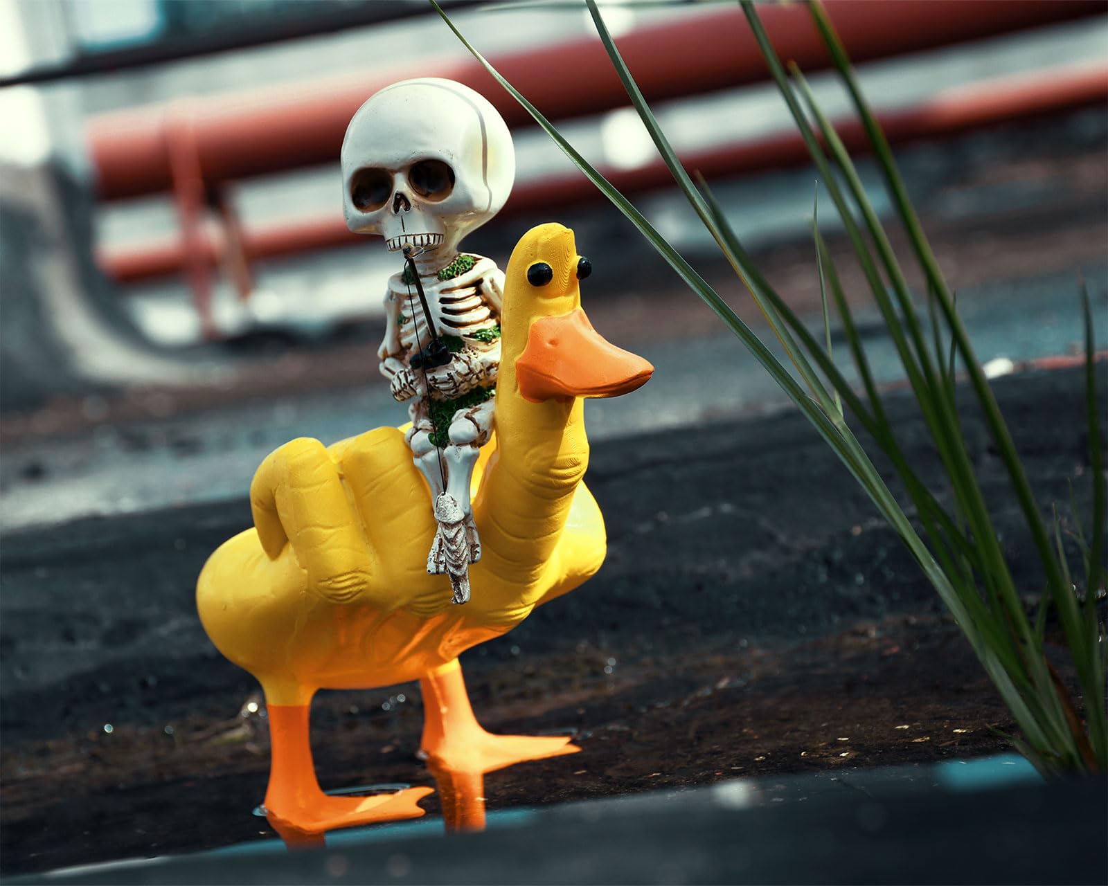 DS. DISTINCTIVE STYLE poolside skull display enlivens water‑side decor.