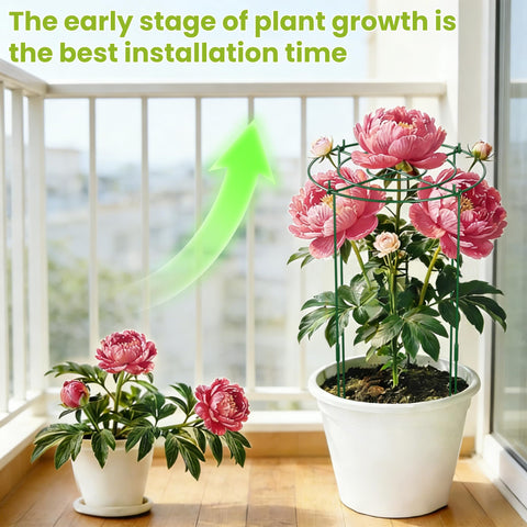 DSTANA 11.8-inch diameter cage keeps blooms elevated for care.
