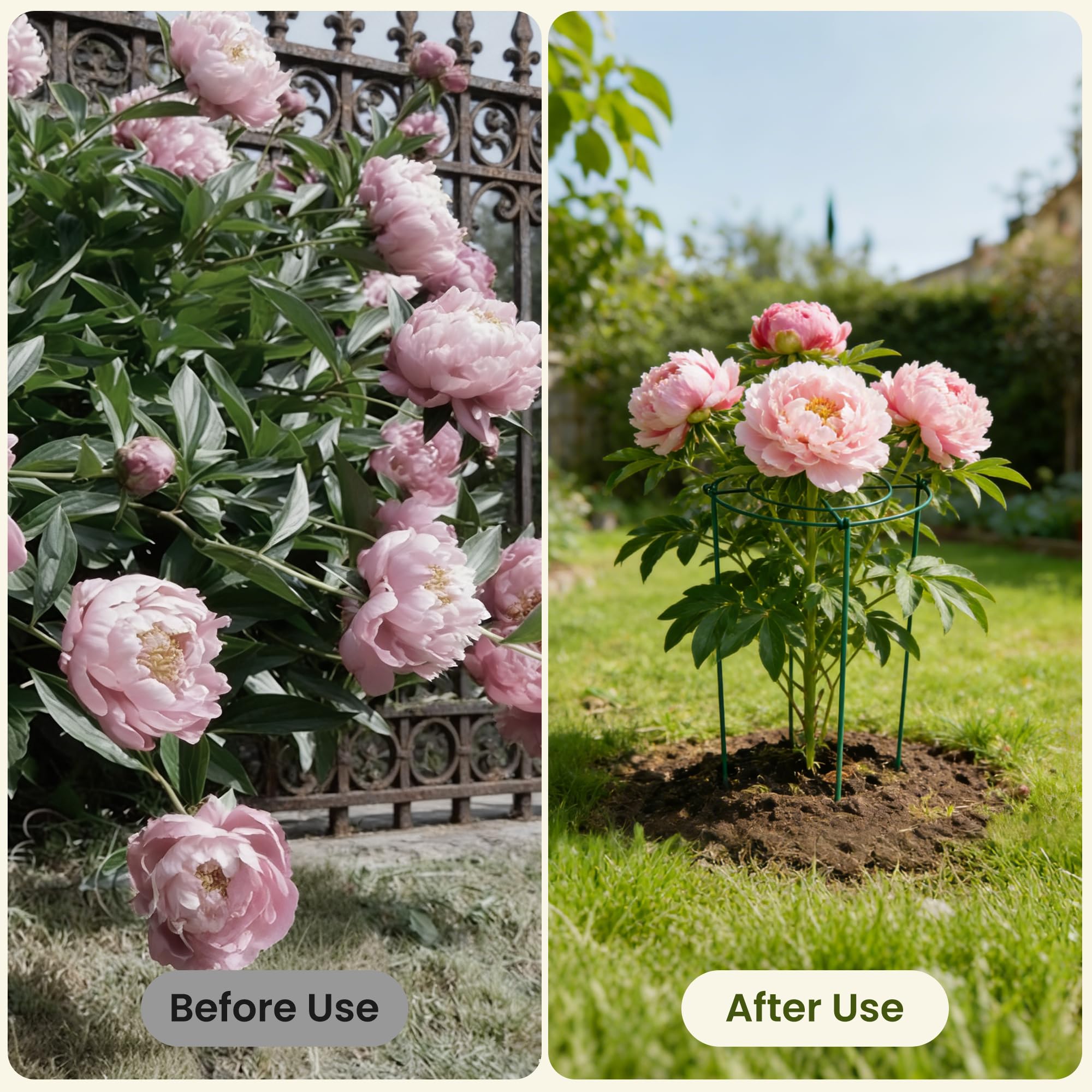 DSTANA 23.6-inch legs support shrubs and medium flowers upright.