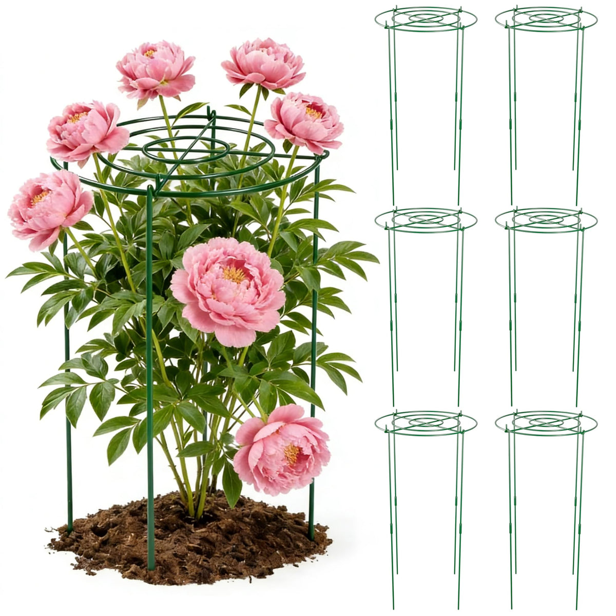 DSTANA six-pack peony cages with grid for sturdy bloom support.