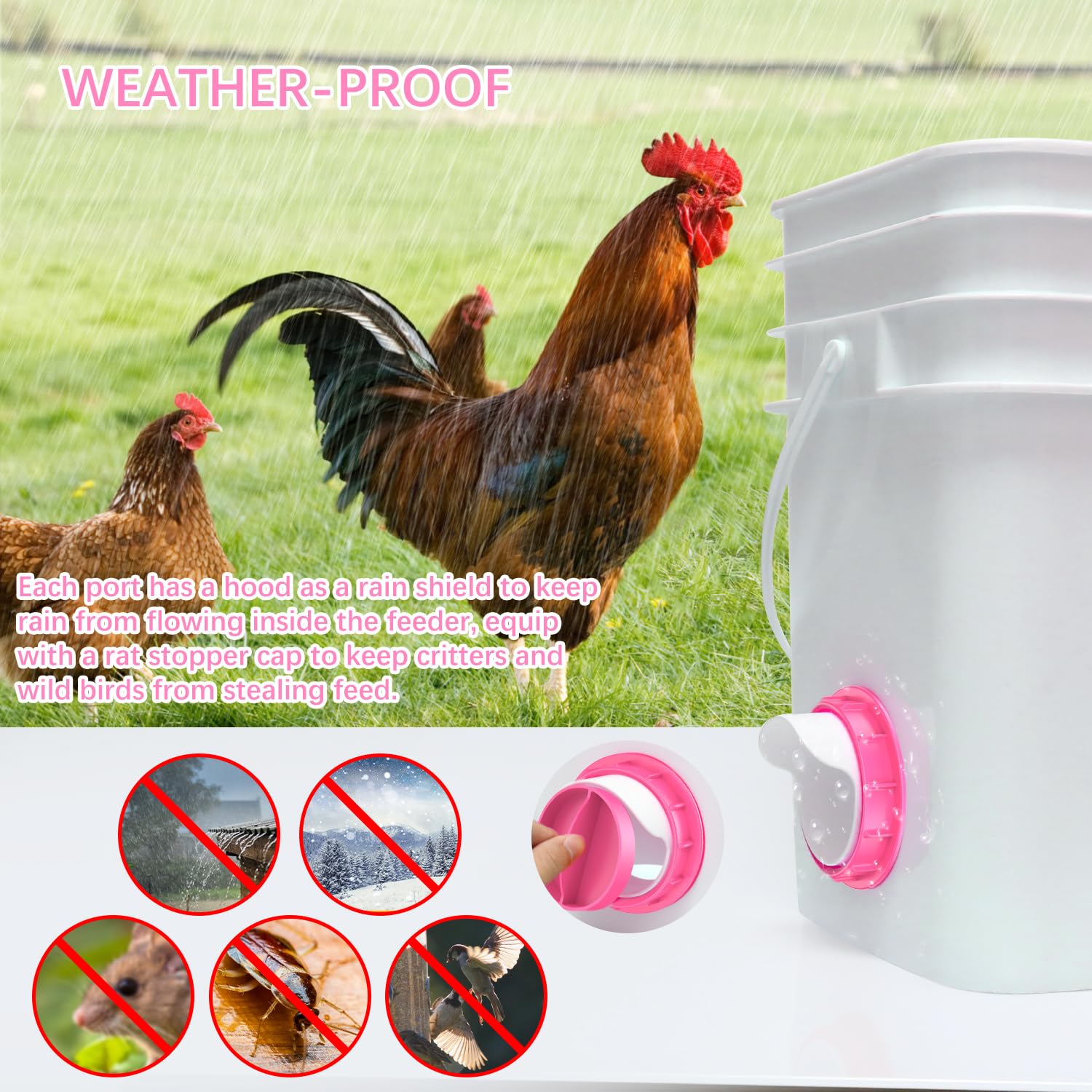 DSTANA barrel-style feeder setup demonstrating gravity-fed poultry feeding