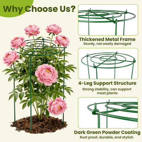 DSTANA heavy-duty iron wire cage maintains shape under wind and rain.