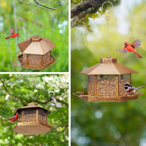 DTEPFUEN gold bird feeder suits gifting to outdoor enthusiasts and nature lovers.