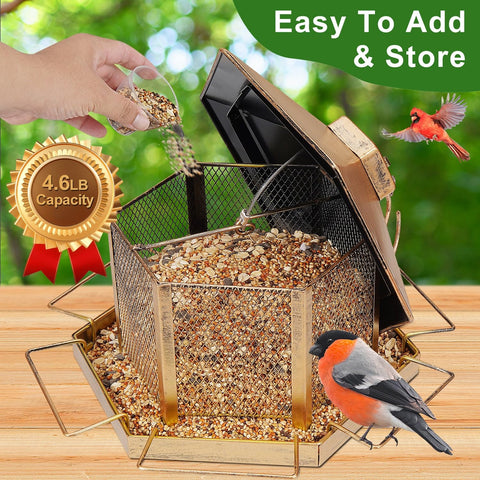 DTEPFUEN large-capacity seed basket keeps feed available for longer periods.