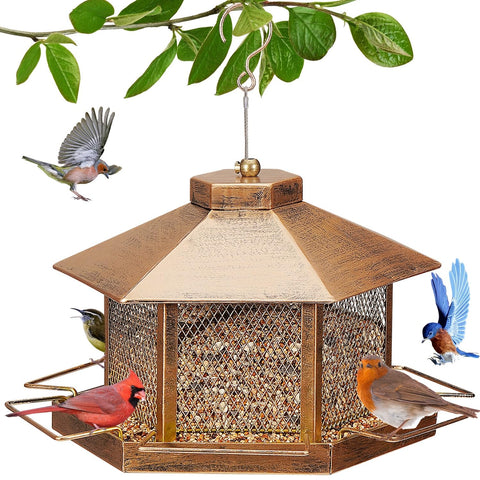 DTEPFUEN metal bird feeder with gold finish, elevating yard decor while inviting songbirds.