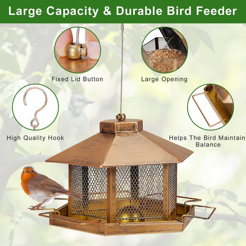 DTEPFUEN squirrel-proof, weather-resistant design protects seeds during seasons.