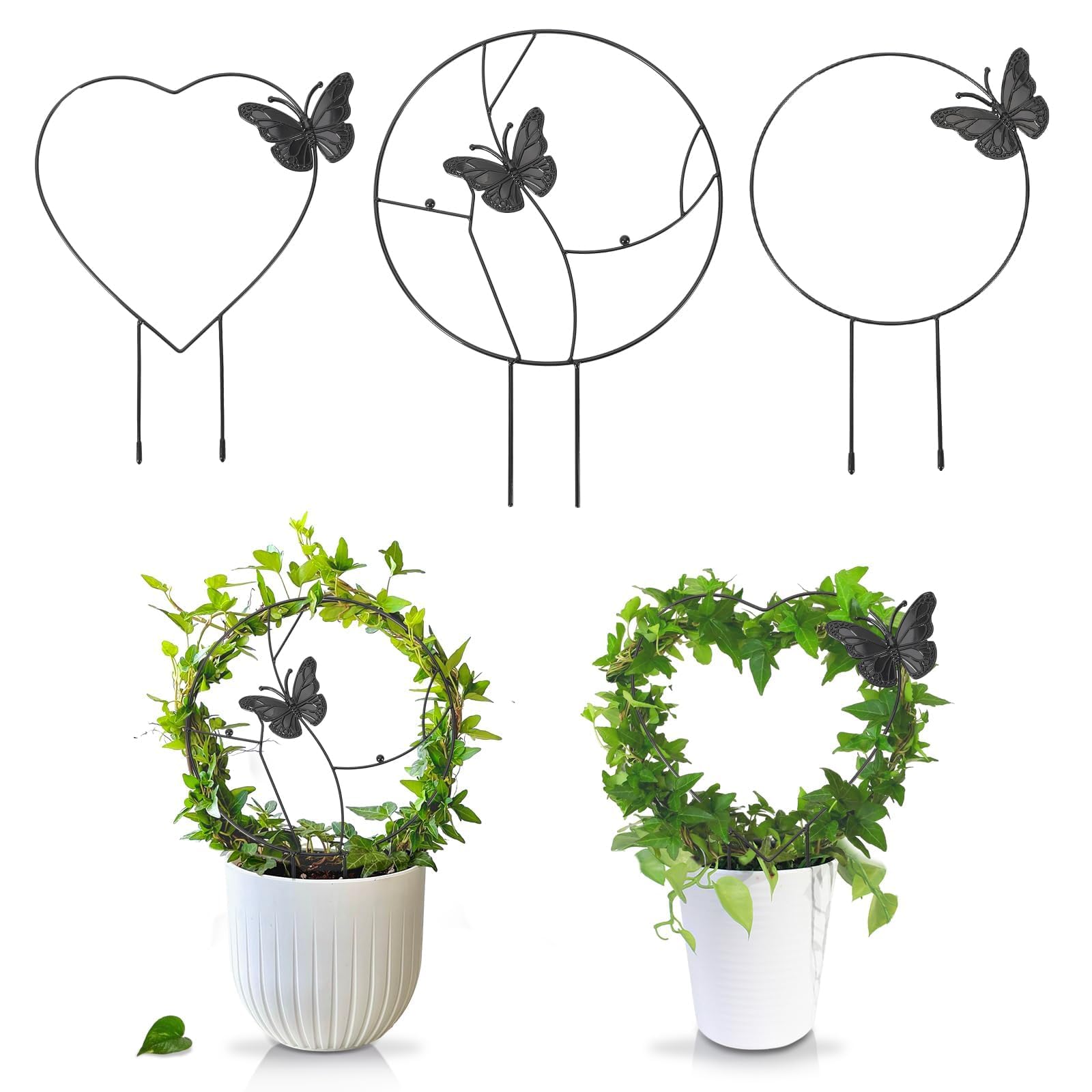DTOFOOT heart butterfly trellis supports indoor vines with elegant decor