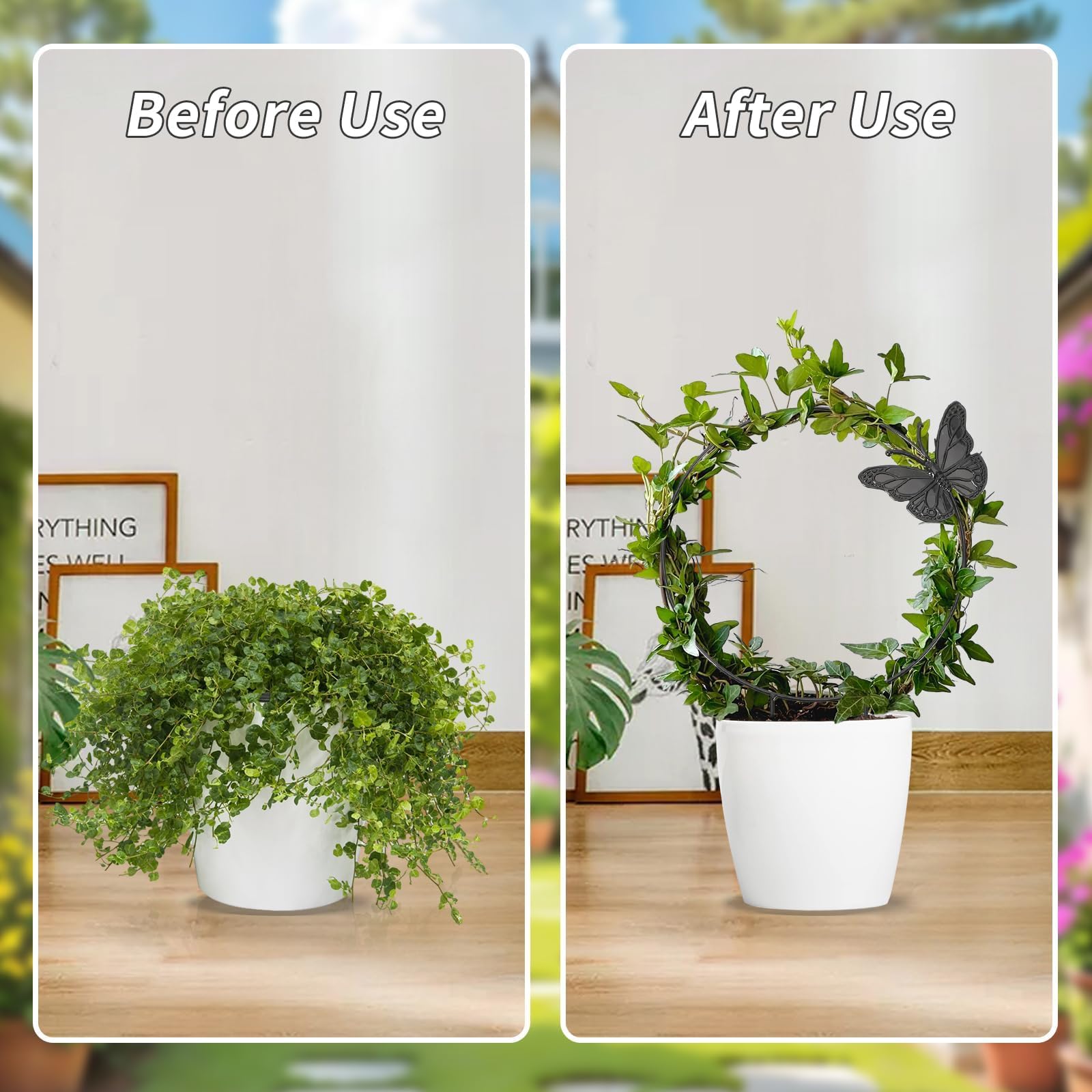 DTOFOOT round picture-frame butterfly trellis frames blooms beautifully