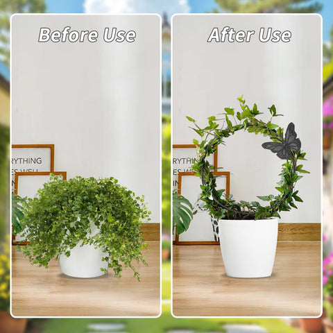 DTOFOOT round picture-frame butterfly trellis frames blooms beautifully