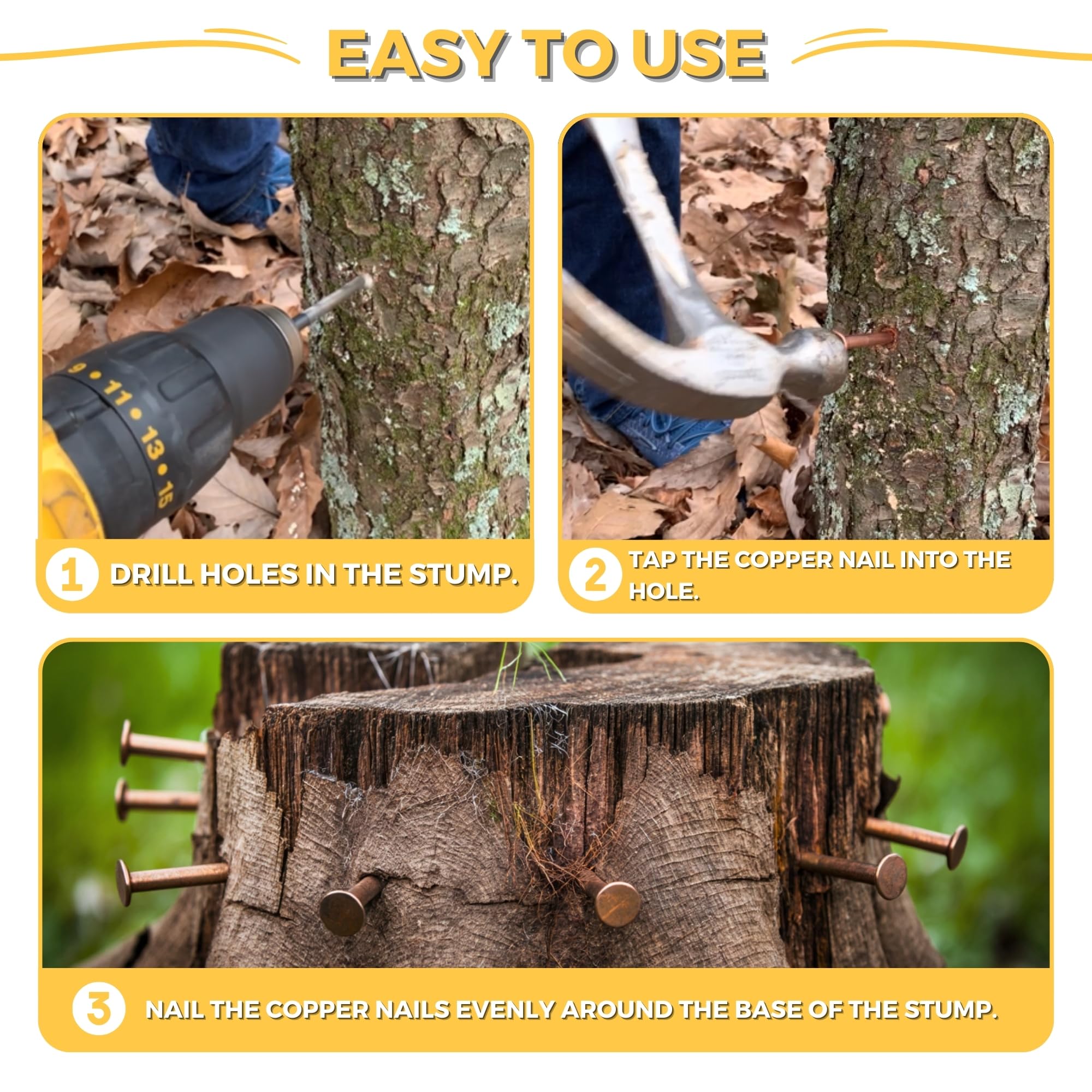 Dubbs Hardware spikes installed on a tree for practical removal work.