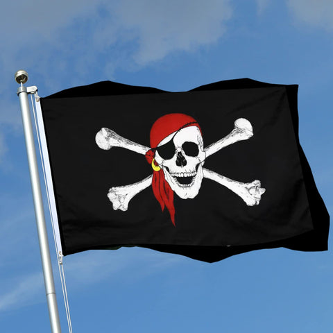 Ducuh flag backed by a 1-year quality guarantee and service.
