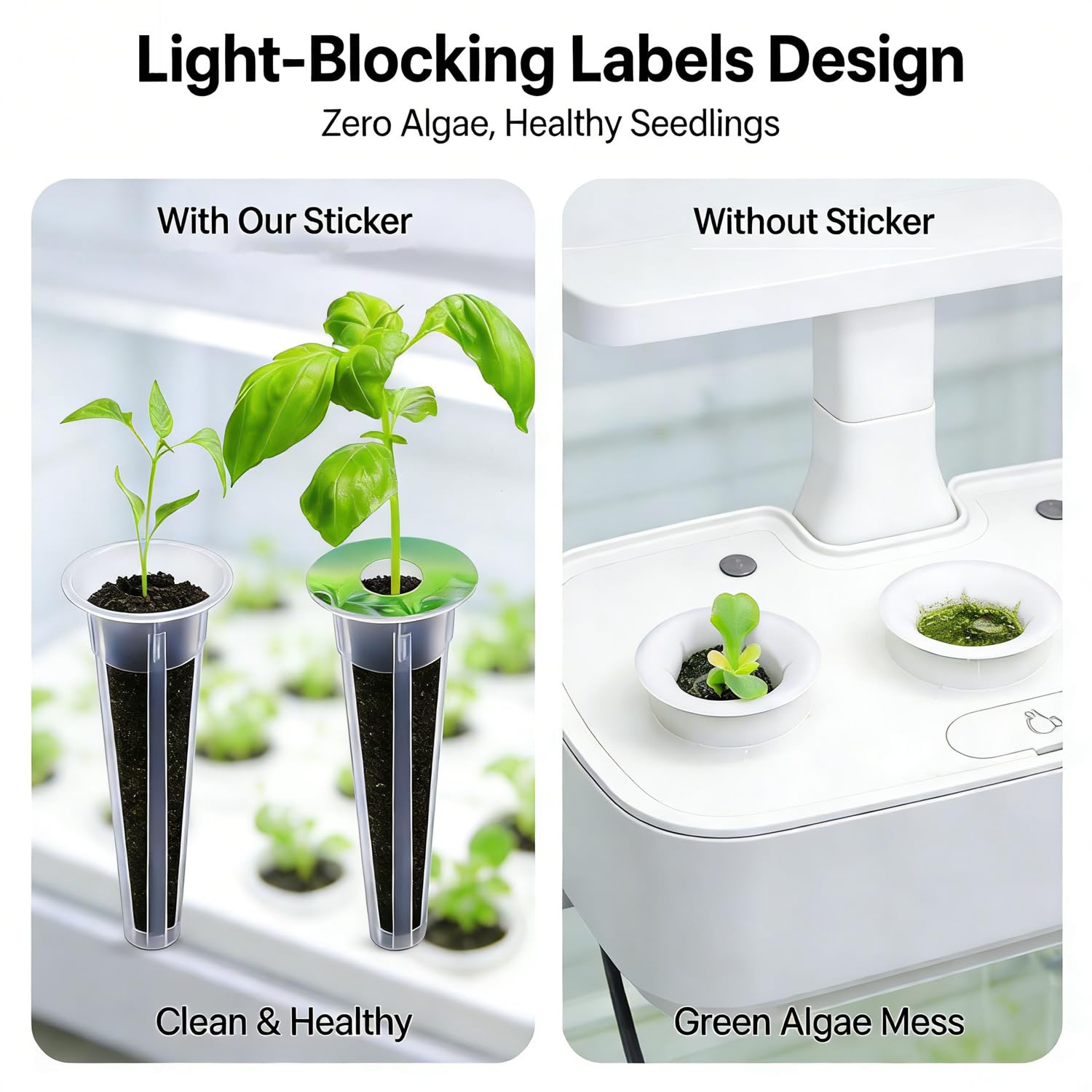 Dukars nutrient bottles A and B enabling easy mixing for steady growth