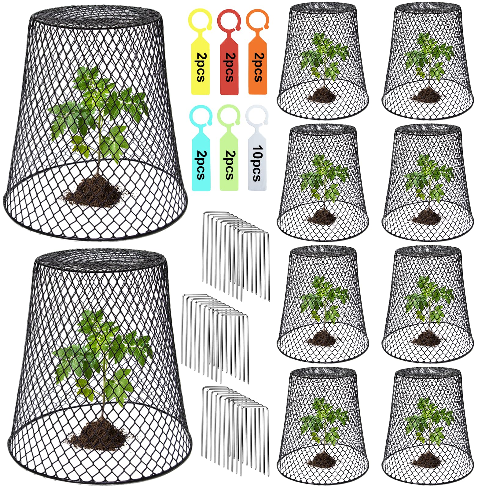 Dukelai chicken wire cloche cover on a potted plant protecting from animals while allowing airflow