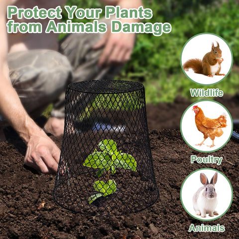 Dukelai includes color labels for easy plant tracking