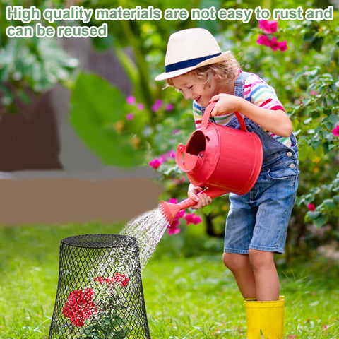 Dukelai plant protectors over strawberries, showing practical garden use