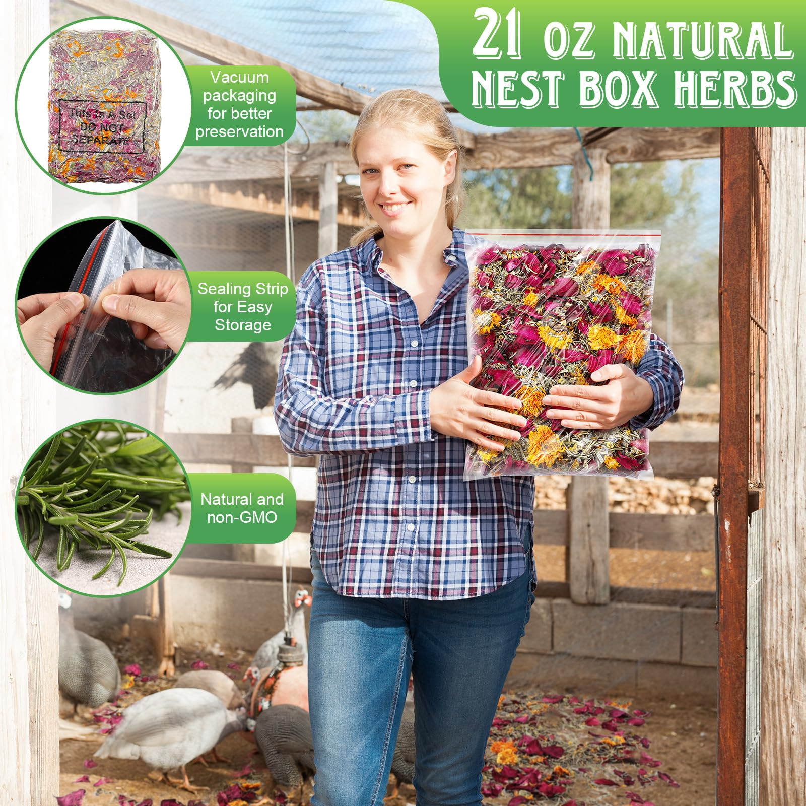 Dunkive dust bath herbs for chickens around perches and nest boxes refresh coop scent.