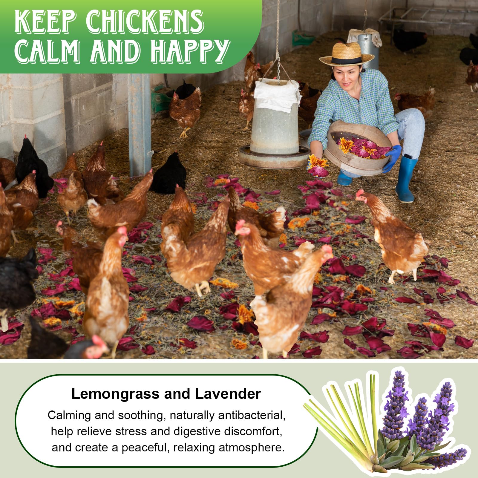 Dunkive lemongrass and rosemary blend for a refreshed coop.