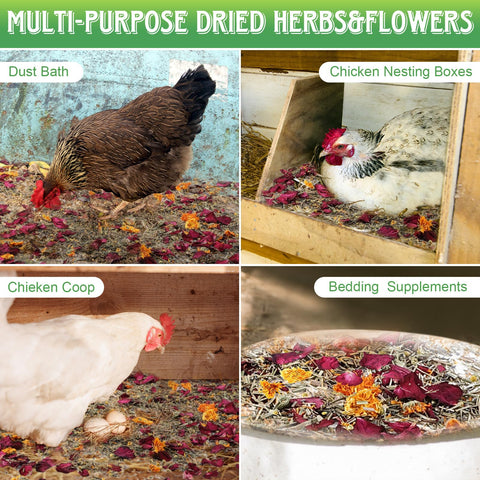 Dunkive herb mix boosts nesting box fragrance for comfort and calm hens.