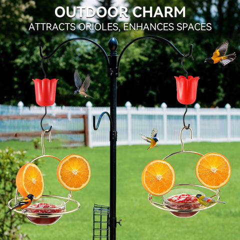 Close-up of ant moat on a Dunkive oriole feeder to keep ants away