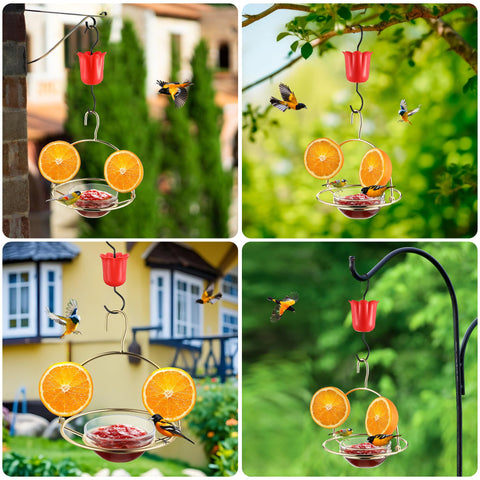 Foldable Dunkive oriole feeder frame compact for storage