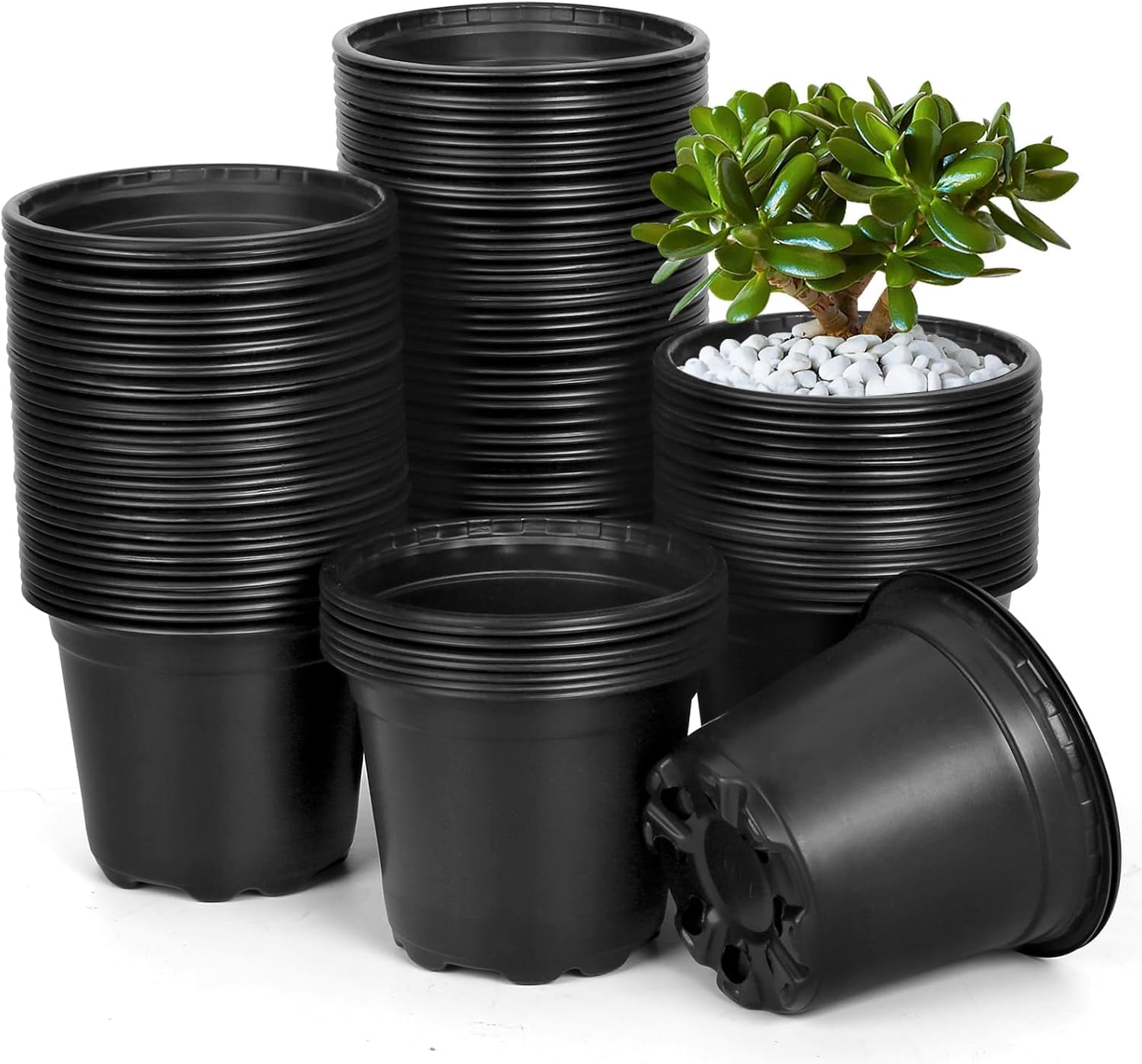 DUNPUTE 120-pack 5-inch nursery pots with drainage for seedling start.