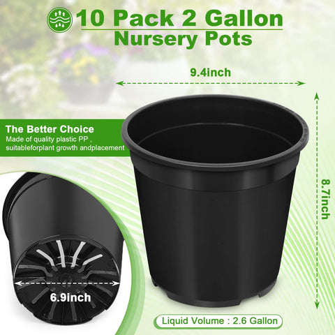 DUNPUTE 2-Gallon pot showing drainage holes to manage moisture.