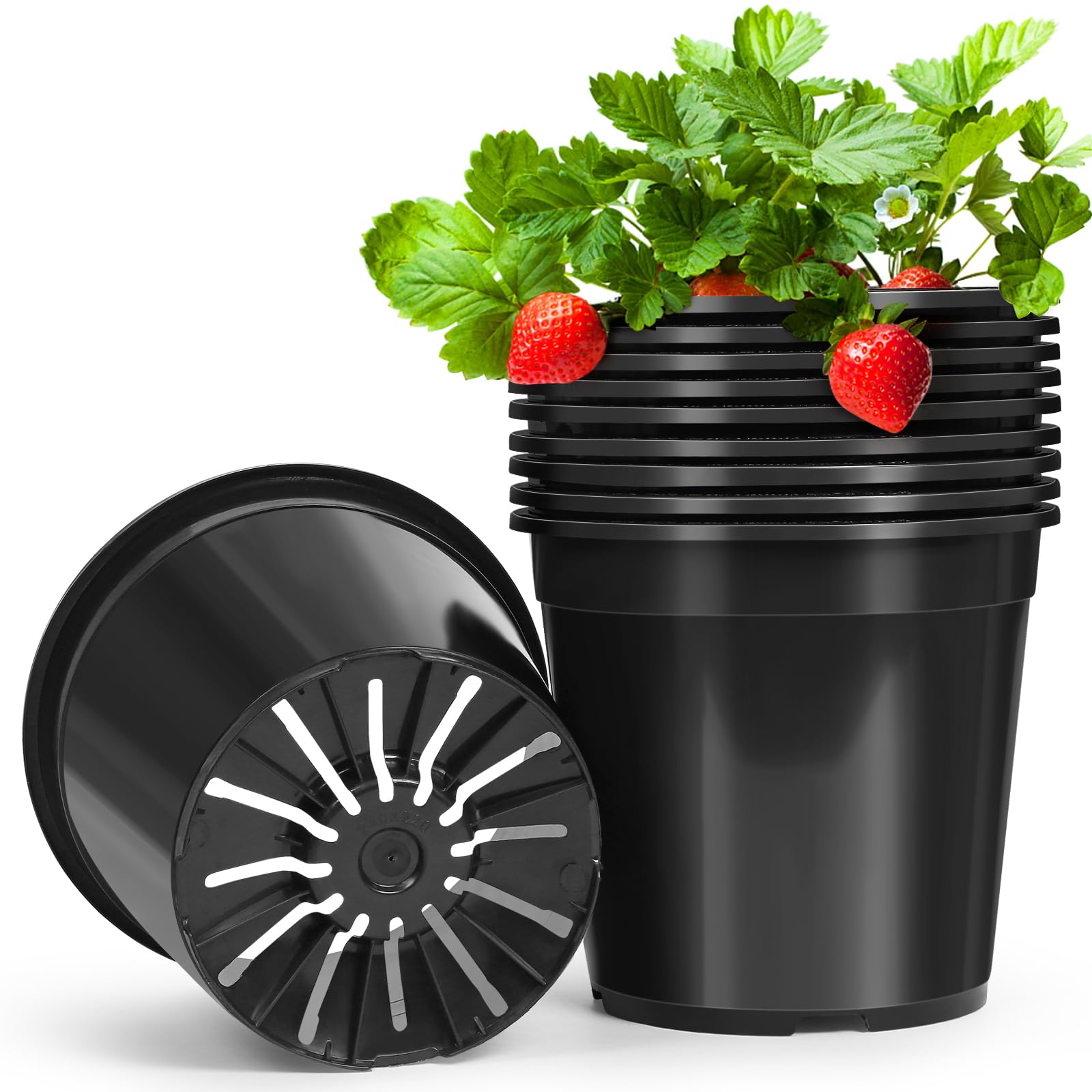 DUNPUTE 2-Gallon pot with top view, ideal for seedling setup.