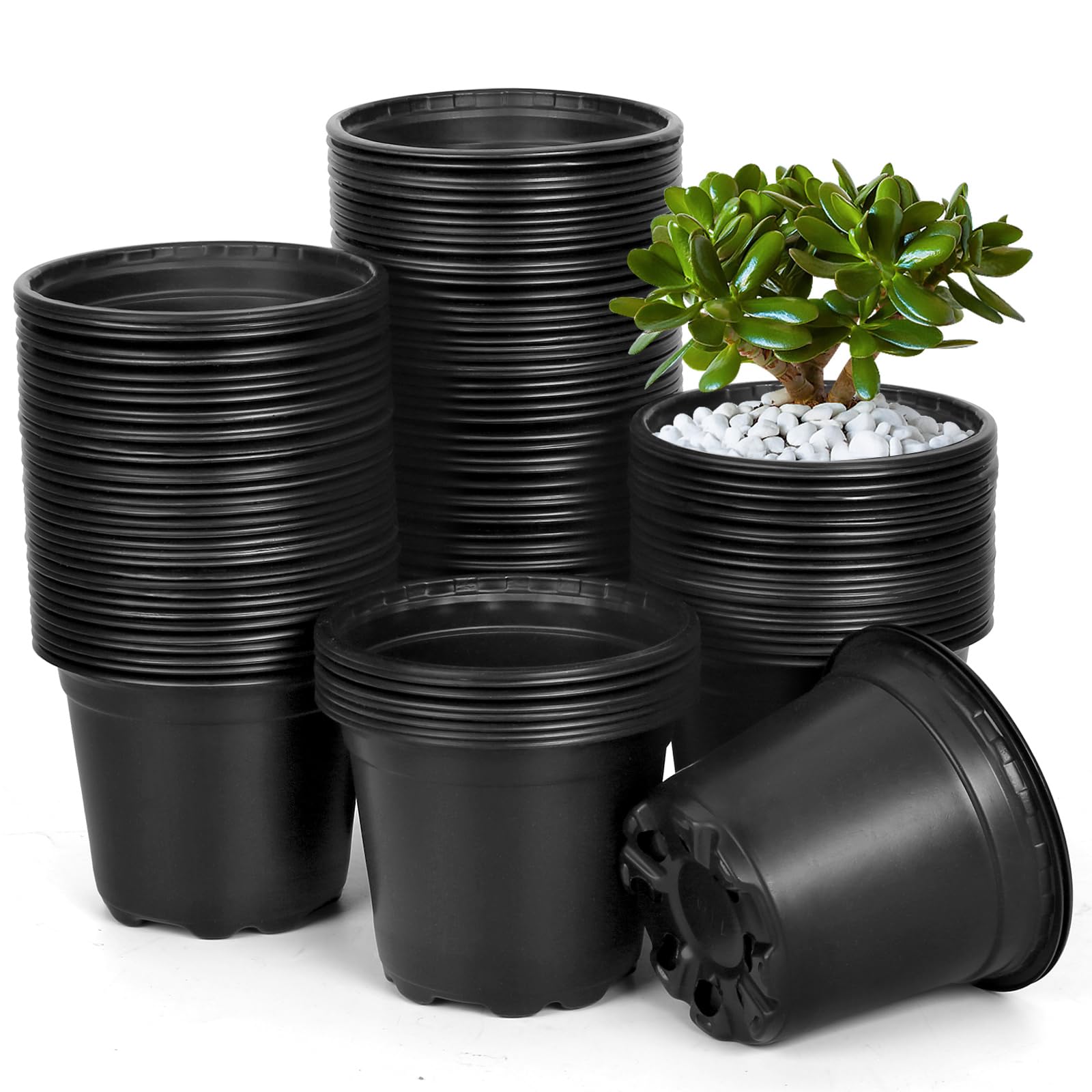 DUNPUTE 4-inch nursery pot pack with drainage holes for seedlings.