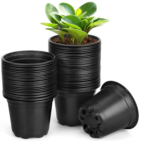 DUNPUTE 60-pack 5-inch nursery pot with drainage holes promotes healthy seedling growth.
