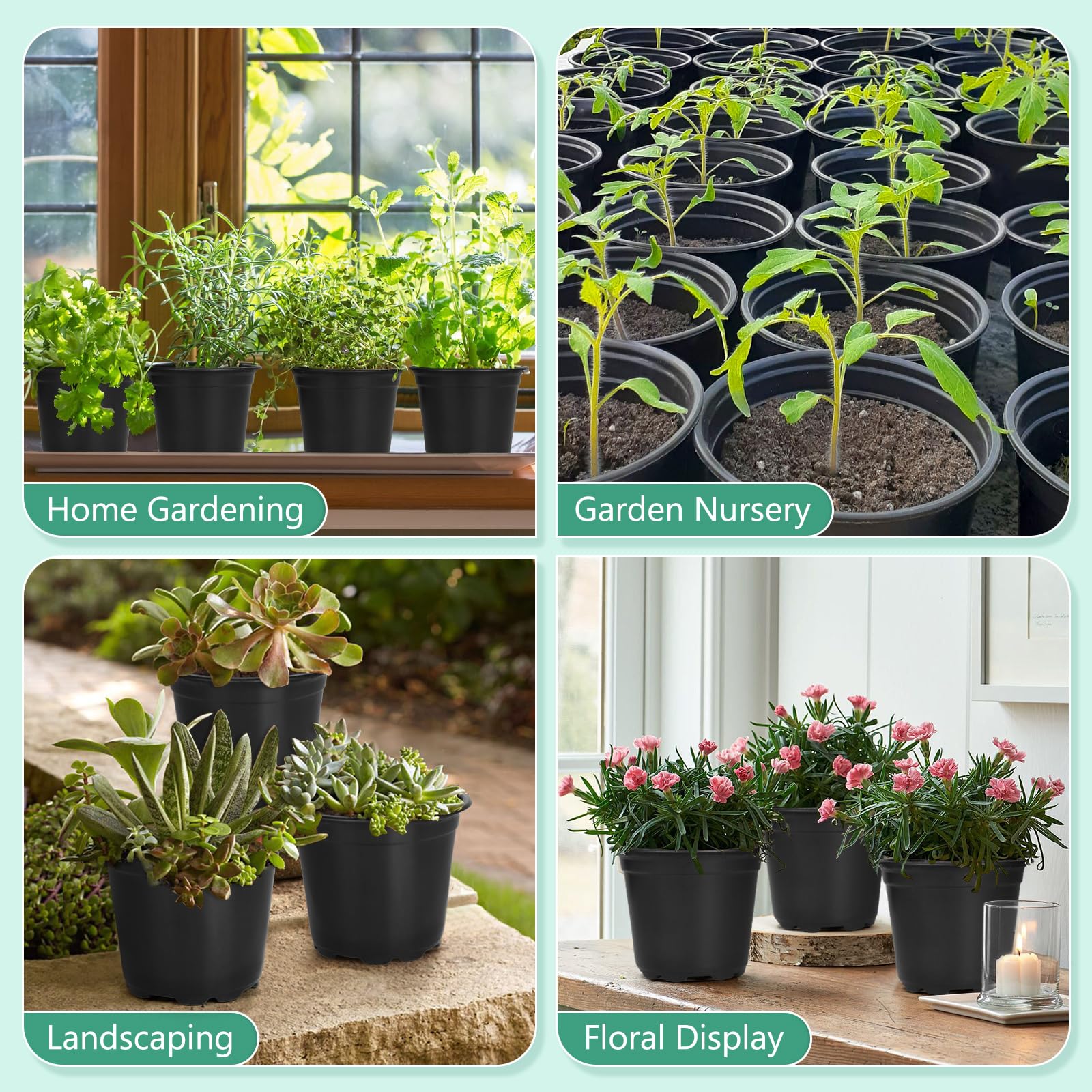 DUNPUTE 60-pack nursery pots simplify organization for seed starting and transplanting.