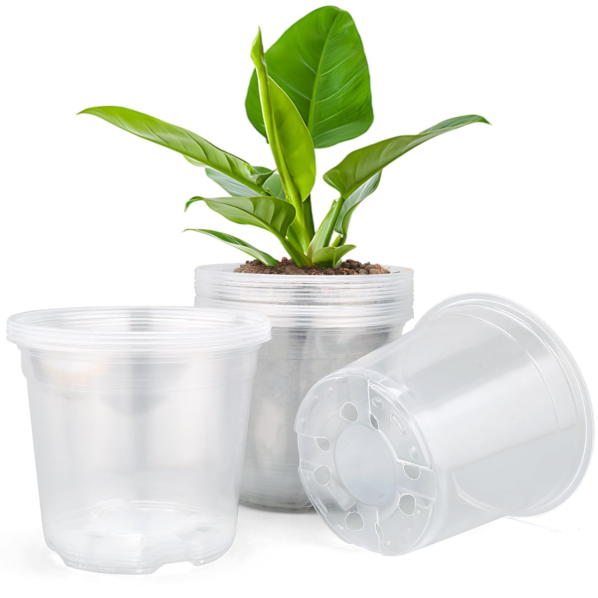 DUNPUTE 7-inch clear nursery pot stackable for seedling growth