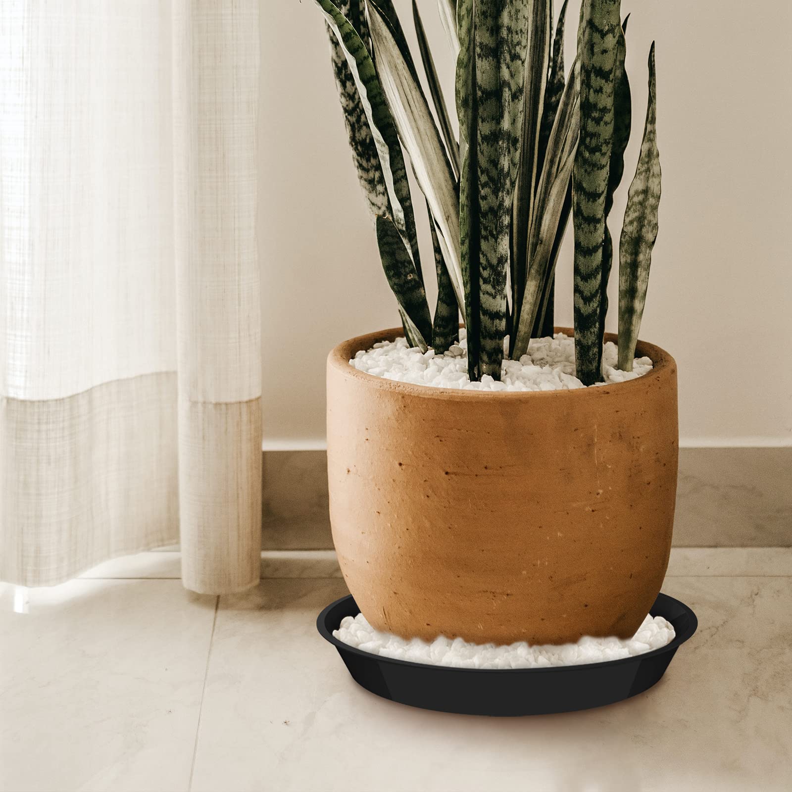 DUNPUTE BPA-free recyclable tray supports eco-friendly plant care.